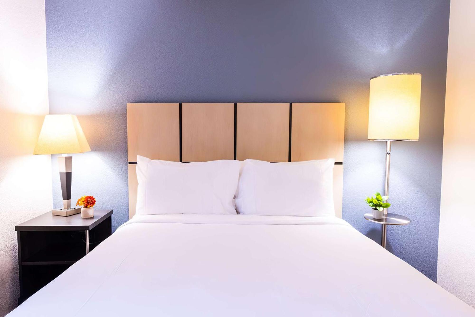 Sonesta Simply Suites Jacksonville Exterior foto